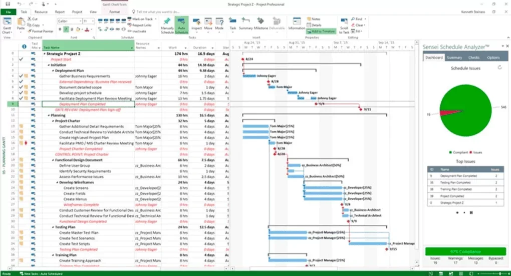 Microsoft Project Professional 2021 chart